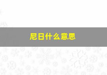 尼日什么意思