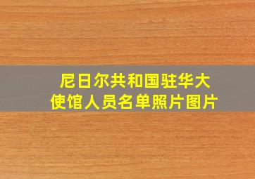 尼日尔共和国驻华大使馆人员名单照片图片