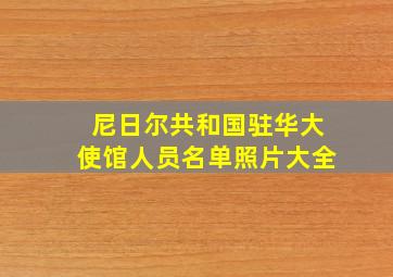 尼日尔共和国驻华大使馆人员名单照片大全