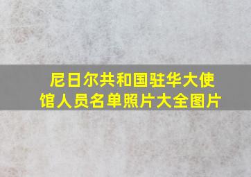 尼日尔共和国驻华大使馆人员名单照片大全图片