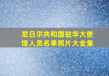 尼日尔共和国驻华大使馆人员名单照片大全集