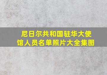 尼日尔共和国驻华大使馆人员名单照片大全集图