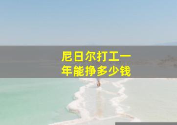 尼日尔打工一年能挣多少钱