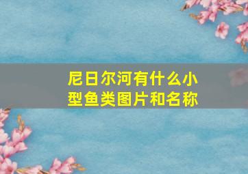 尼日尔河有什么小型鱼类图片和名称