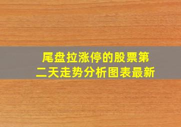 尾盘拉涨停的股票第二天走势分析图表最新