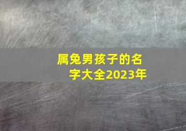 属兔男孩子的名字大全2023年