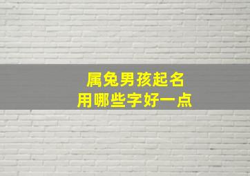 属兔男孩起名用哪些字好一点