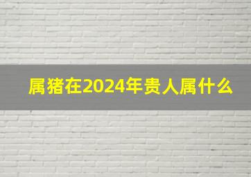 属猪在2024年贵人属什么