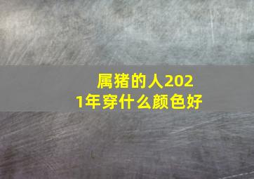 属猪的人2021年穿什么颜色好