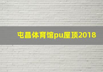 屯昌体育馆pu屋顶2018