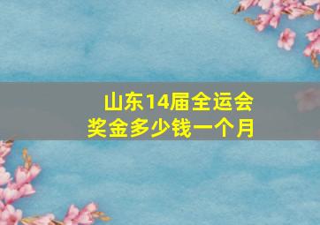 山东14届全运会奖金多少钱一个月