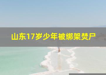 山东17岁少年被绑架焚尸