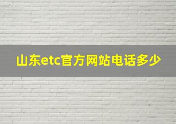 山东etc官方网站电话多少