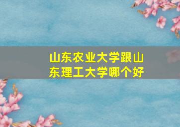 山东农业大学跟山东理工大学哪个好