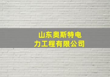 山东奥斯特电力工程有限公司