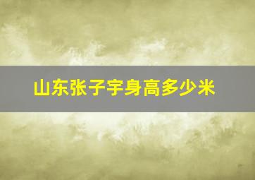 山东张子宇身高多少米