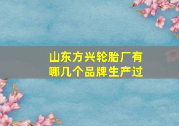 山东方兴轮胎厂有哪几个品牌生产过