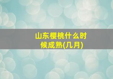 山东樱桃什么时候成熟(几月)