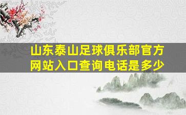 山东泰山足球俱乐部官方网站入口查询电话是多少