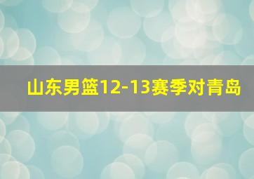 山东男篮12-13赛季对青岛