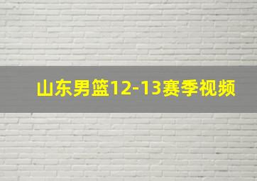 山东男篮12-13赛季视频