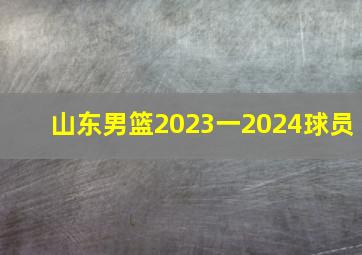 山东男篮2023一2024球员