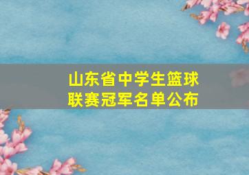 山东省中学生篮球联赛冠军名单公布