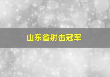 山东省射击冠军