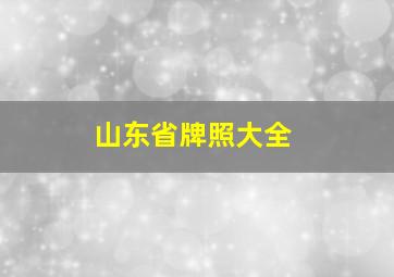 山东省牌照大全