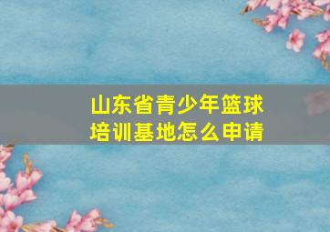 山东省青少年篮球培训基地怎么申请