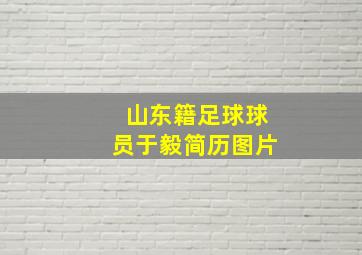 山东籍足球球员于毅简历图片