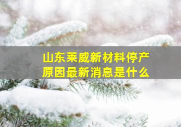 山东莱威新材料停产原因最新消息是什么