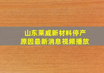 山东莱威新材料停产原因最新消息视频播放