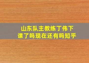 山东队主教练丁伟下课了吗现在还有吗知乎