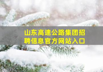 山东高速公路集团招聘信息官方网站入口