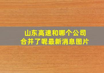 山东高速和哪个公司合并了呢最新消息图片