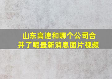 山东高速和哪个公司合并了呢最新消息图片视频