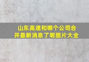 山东高速和哪个公司合并最新消息了呢图片大全