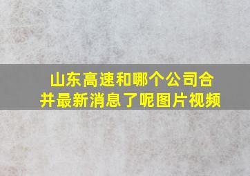 山东高速和哪个公司合并最新消息了呢图片视频