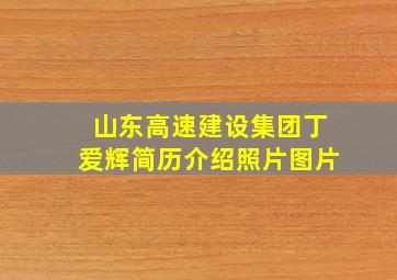 山东高速建设集团丁爱辉简历介绍照片图片