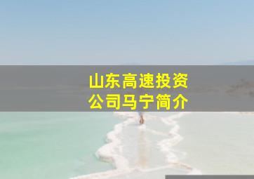 山东高速投资公司马宁简介