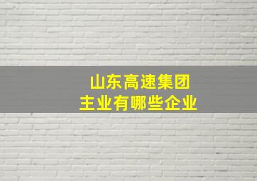 山东高速集团主业有哪些企业