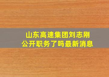 山东高速集团刘志刚公开职务了吗最新消息