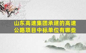 山东高速集团承建的高速公路项目中标单位有哪些