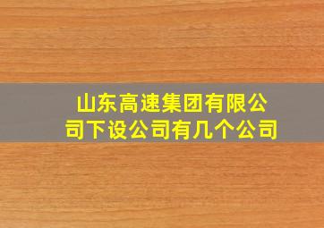 山东高速集团有限公司下设公司有几个公司