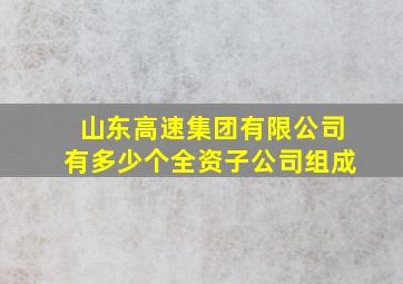 山东高速集团有限公司有多少个全资子公司组成