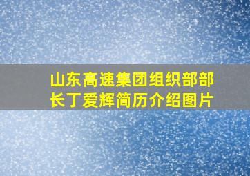 山东高速集团组织部部长丁爱辉简历介绍图片