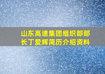 山东高速集团组织部部长丁爱辉简历介绍资料