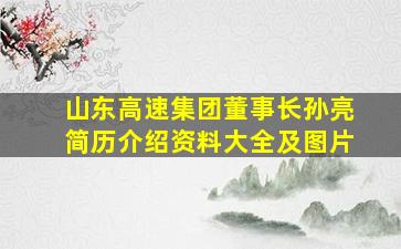 山东高速集团董事长孙亮简历介绍资料大全及图片