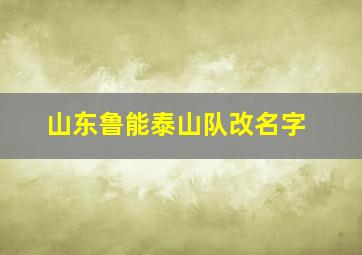 山东鲁能泰山队改名字